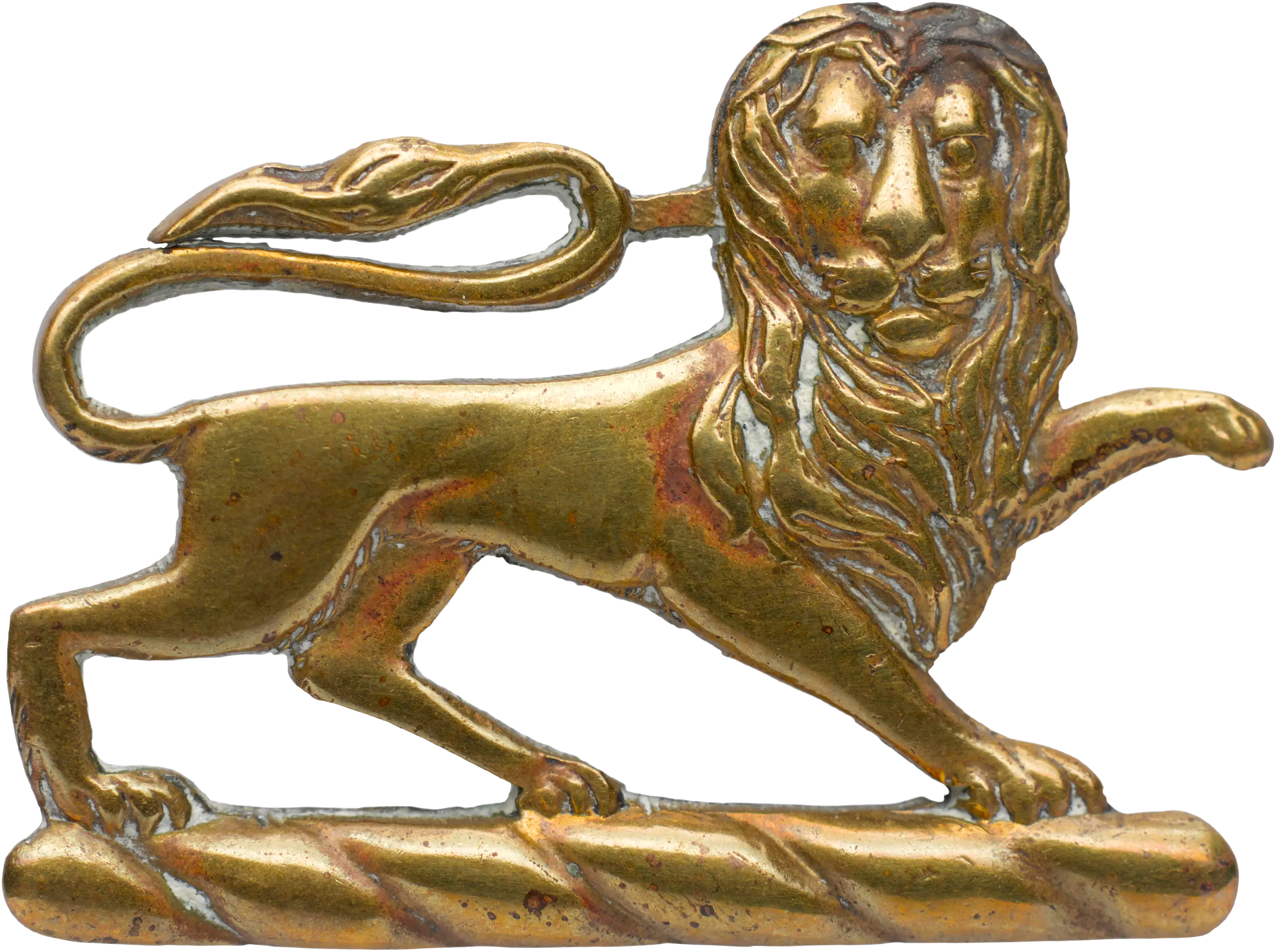 Brass lion collar pin, n.d.
